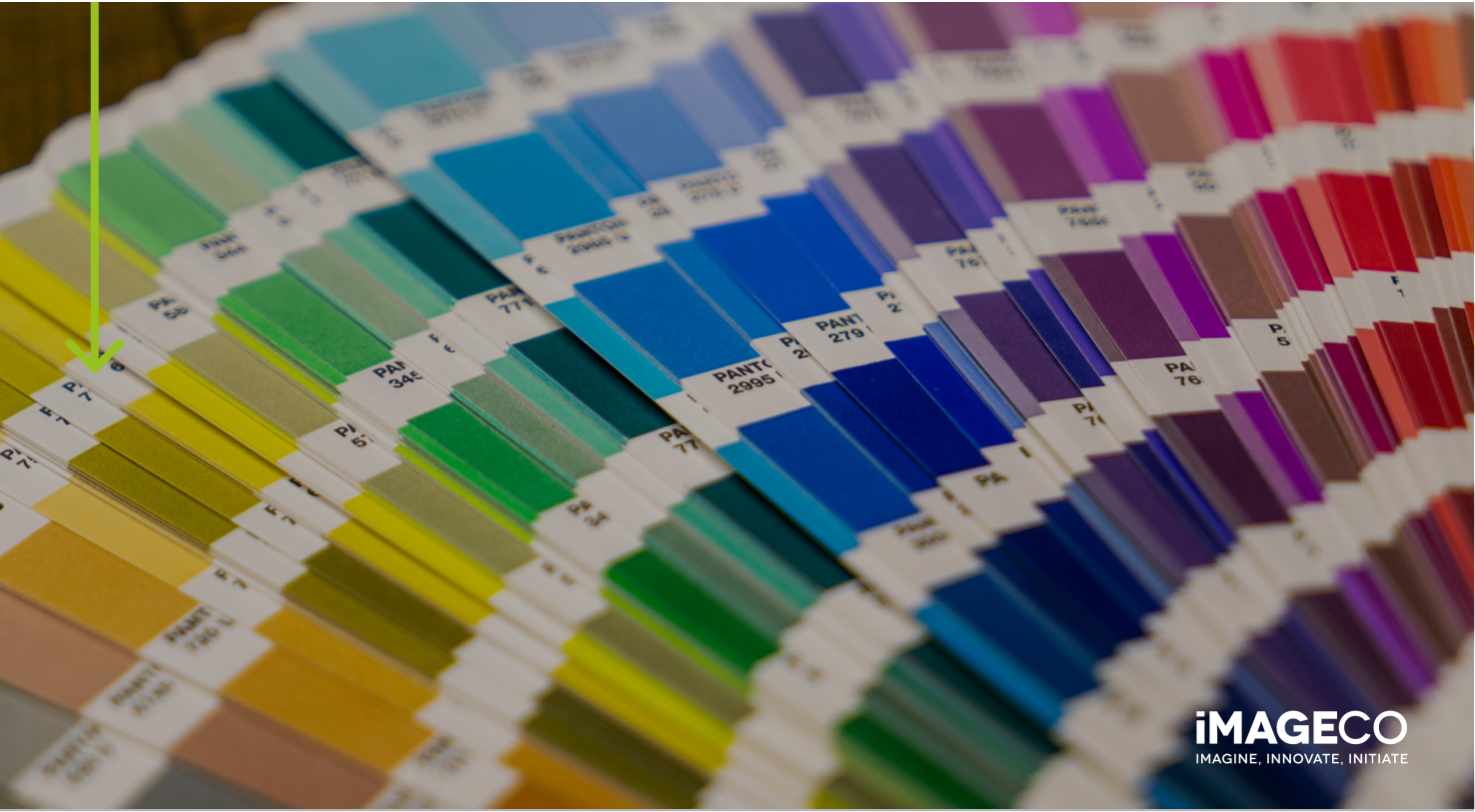 Picture of colour swatches for interior design