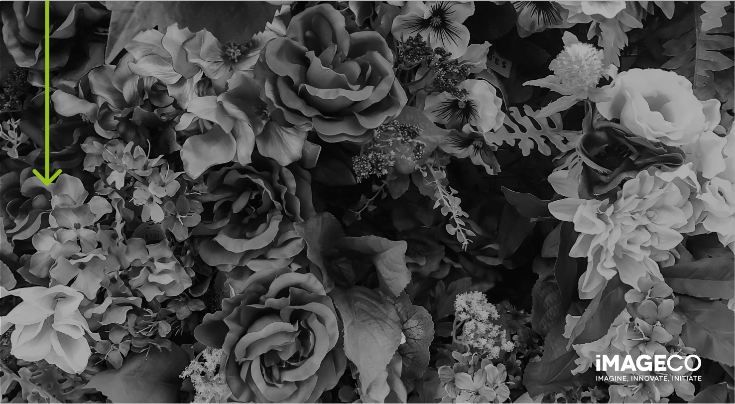 Picture of black and white floral arrangement