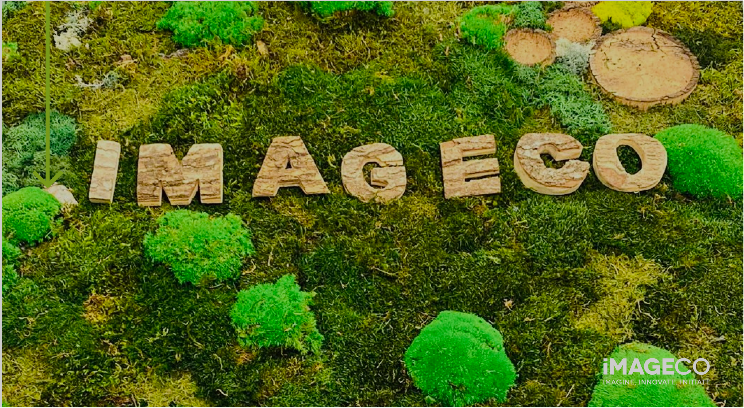 Picture of moss with Imageco spelled out in wood pieces