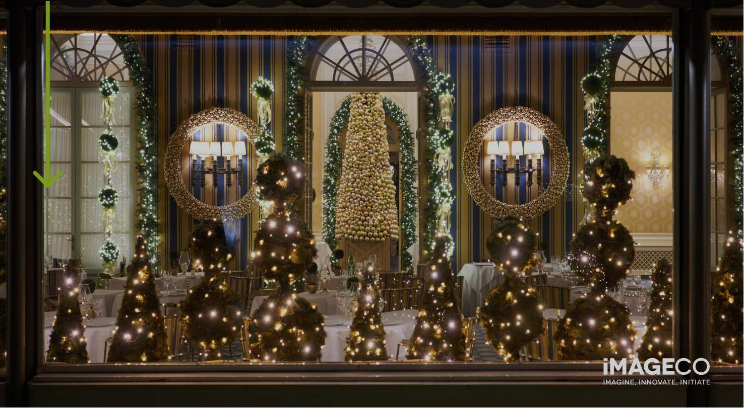 An inviting window display with bright lights and christmas trees.